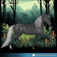 Horse Color:Silver Black Chinchilla 
