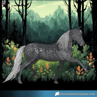 Horse Color:Silver Black Chinchilla 
