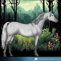 Horse Color:Silver Grullo Chinchilla 