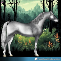 Horse Color:Silver Blue Onyx Chinchilla 