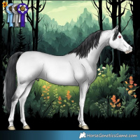 Horse Color:Bay Chinchilla Onyx Sabino 