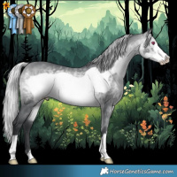 Horse Color:Silver Bay Chinchilla Frame 