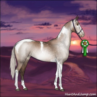 Horse Color:Gray Silver Black Pearl Sabino Tobiano Rabicano 