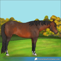 Horse Color:Brown 