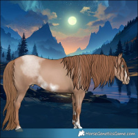 Horse Color:Black Pearl Sabino Tobiano Frame 