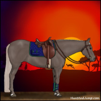 Horse Color:Silver Black 