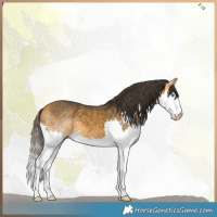 Horse Color:Buckskin Splash 