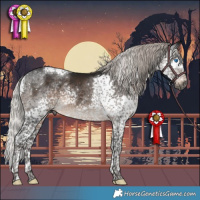Horse Color:Gray Silver Brown Splash Tobiano 
