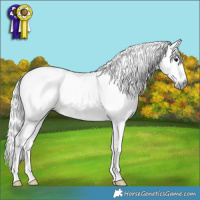 Horse Color:Gray Brown Splash Tobiano Rabicano