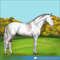 Horse Color:Gray Silver Black Pearl Tobiano 