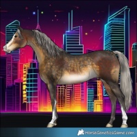 Horse Color:Silver Brown Sabino Rabicano  and Silver Buckskin Sabino Rabicano 