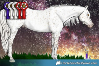 Horse Color:Gray Silver Classic Cream Champagne Sabino