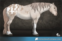 Horse Color:Liver Red Dun Tobiano Blanket Rabicano 