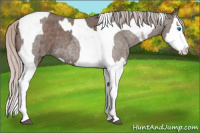 Horse Color:Silver Blue Roan Splash Tobiano  and Silver Blue Roan Splash Tobiano 