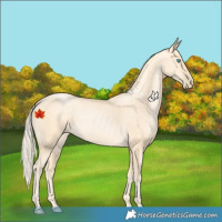 Horse Color:Palomino Pearl 