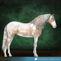 Horse Color:White Spotted Liver Chestnut Snowdrop Pearl Sabino 