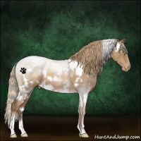 Horse Color:White Spotted Liver Chestnut Pearl Sabino