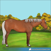 Horse Color:Silver Bay 