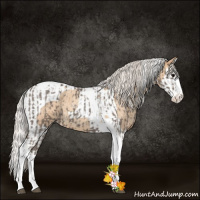 Horse Color:Silver Blue Roan Splash Tobiano  and Silver Classic Champagne Roan Splash Tobiano 