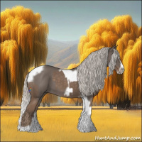 Horse Color:Silver Blue Roan Splash Tobiano  and Silver Blue Roan Splash Tobiano Frame 