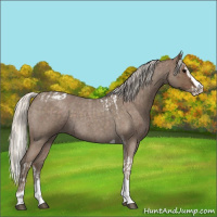 Horse Color:Silver Blue Roan Splash Tobiano  and Silver Smoky Blue Roan Splash Tobiano 