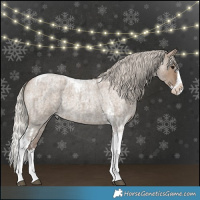 Horse Color:Silver Grullo Roan Splash Tobiano  and Silver Grullo Roan Splash Tobiano 