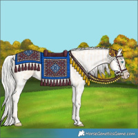 Horse Color:Cremello Splash  and Cremello Splash 