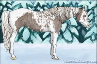 Horse Color:Silver Blue Roan Splash Tobiano  and Silver Blue Roan Splash Tobiano Varnish 