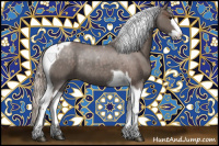 Horse Color:Silver Blue Roan Splash Tobiano  and Silver Blue Roan Splash Tobiano Rabicano 