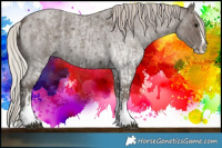 Horse Color:White Spotted Silver Blue Roan Splash  and Silver Blue Roan Splash Tobiano 