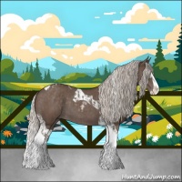 Horse Color:Silver Blue Roan Splash Tobiano and Silver Blue Roan Splash Tobiano Rabicano