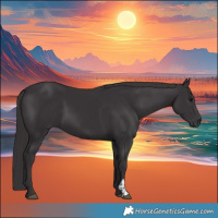 Horse Color:Smoky Black  and Smoky Black 