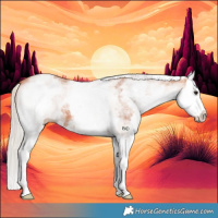 Horse Color:White Spotted Silver Bay Splash 