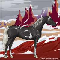 Horse Color:White Spotted Liver Chestnut Mushroom Tobiano 