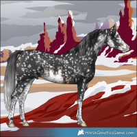 Horse Color:White Spotted Brown Snowflake Varnish