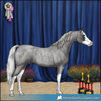 Horse Color:White Spotted Liver Red Roan Mushroom Splash 