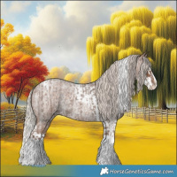 Horse Color:Silver Blue Roan Splash Tobiano  and Silver Blue Roan Splash Tobiano 