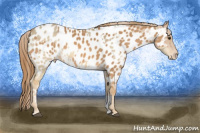 Horse Color:Red Dun Near Leopard  and Chestnut Near Leopard 