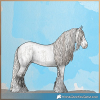 Horse Color:Silver Blue Roan Splash Tobiano  and Gray Silver Blue Roan Splash Tobiano 