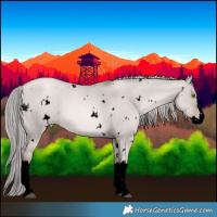 Horse Color:Void Platinum White Spotted Liver Red Dun Pearl Splash Rabicano 