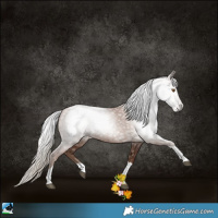 Horse Color:Gray Silver Black Pearl Tobiano