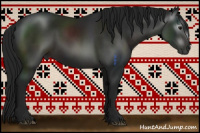 Horse Color:Gray Smoky Black 