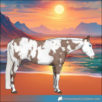 Horse Color:Silver Blue Roan Splash Tobiano  and Silver Blue Roan Splash Tobiano 