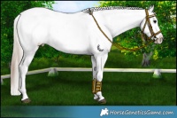 Horse Color:Grullo Blanket  and Silver Grullo Blanket 