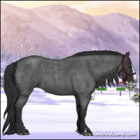 Horse Color:Blue Roan Sabino Splash  and Blue Roan Sabino Splash Rabicano 