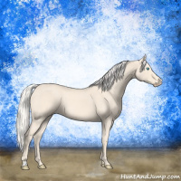 Horse Color:Cremello Roan 