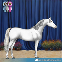 Horse Color:Buckskin Dun Near Leopard  and Silver Brown Sabino Tobiano Snowcap Rabicano 