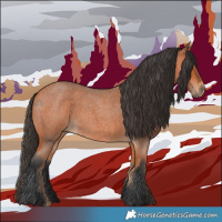 Horse Color:Bay Roan 
