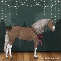 Horse Color:Silver Black 