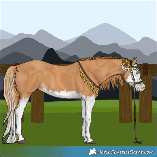 Horse Color:Chestnut Splash 